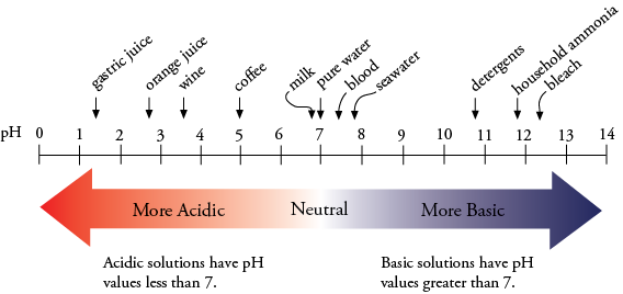 pH scale with examples of the pH of common items