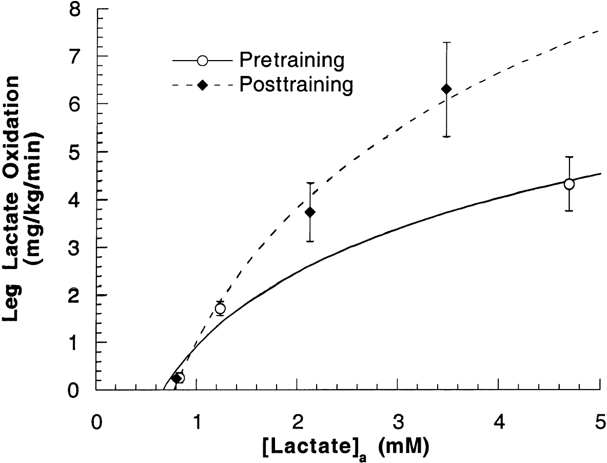 Lactate oxidation in the leg